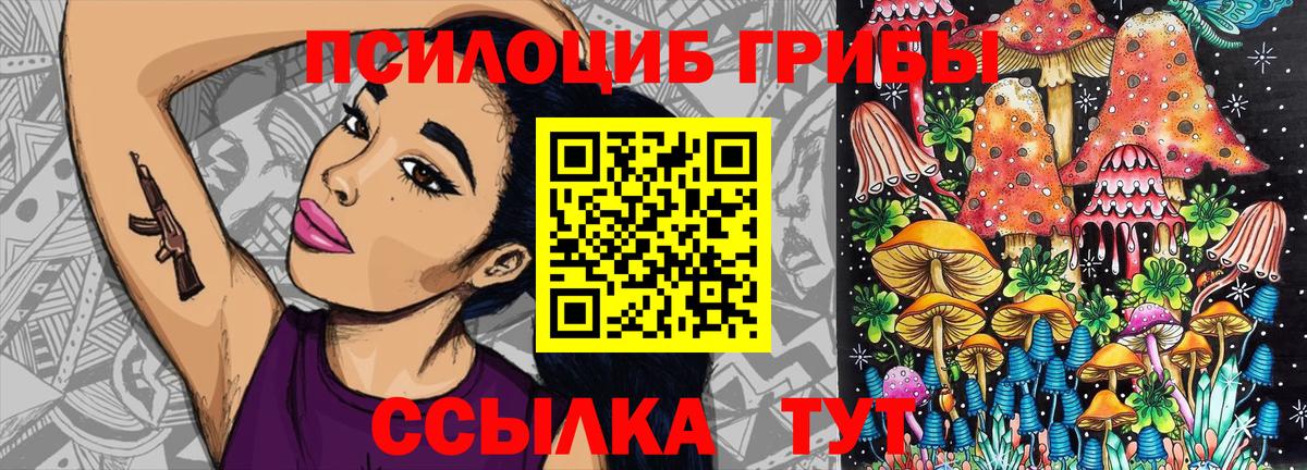 Псилоцибиновые грибы GOLDEN TEACHER Щёлково